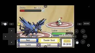 Битва с Броком в Pokemon Infinite Fusion с Random mod