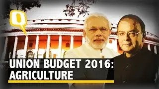 Will Double the Income of Farmers in 5 Years: Arun Jaitley