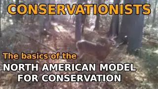 North American Model of Conservation (7 Principles) (hunter education)