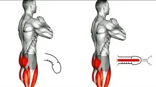 The BEST 8 Higher! Hidden Exercises You Should Do Every Day