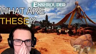 The Deserts in Enshrouded are Wild