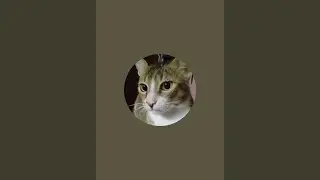 लाडक्या प्राण्यांची करामती is live