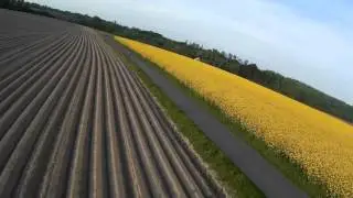 emax 250 Testflight