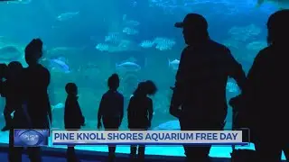 N.C. Aquarium at Pine Knoll Shores offers free admission for MLK day
