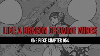 WILL ZORO FIGHT KAIDO? | 