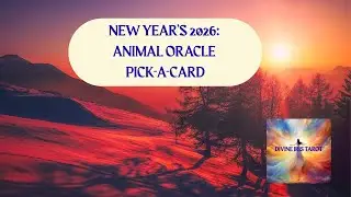 НОВЫЙ ГОД 2026 ✨ ОРАКУЛ С ЖИВОТНЫМИ, ВЫБИРАЮЩИЙ КАРТУ 🐴