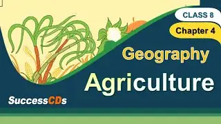 Agriculture CBSE Class 8 Geography Chapter 4 explanation| NCERT Class 8 SST Geography Agriculture