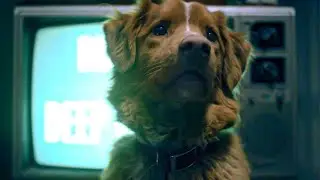 The Dog Who Scared Everyone: Indy’s Unbelievable Award Win!