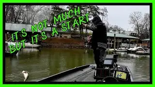Early Spring | Smith Mountain Lake