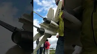 F-14 Tomcat Freewing CRASH | EDF scale RC airplane #freewing #rccrash #aviationcz