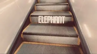 Derek Evry - &ldquo;Elephant&rdquo; OFFICIAL