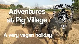 Adventures at Jacobs Ridge Pig Village Animal Sanctuary (tEDV 86)