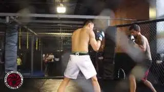 Team Octopus | Mixed Martial Art | BJJ | Muay Thai| Training Gym