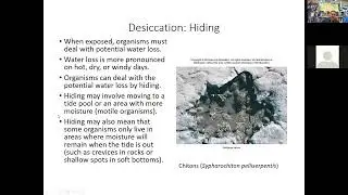 Aquatic Ecosystems  Intertidal Zone Castro and Huber, Marine Biology, Ch 11
