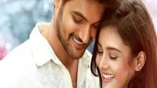Neevalle Neevalle (burra katha) movie song