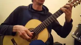 Лео Брауэр 