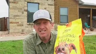 Our English Shepherd, Bella, Loves Sundays For Dogs