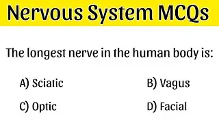 Nervous System MCQs | Nervous System Quiz | Nervous System Important MCQs