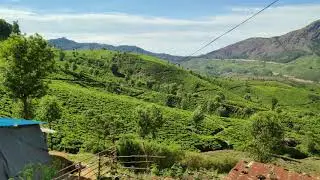 Munnar Tea Estate - Devikulam