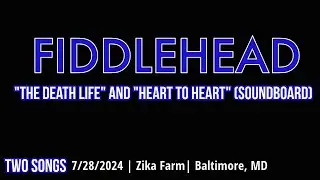 2024-07.28 Fiddlehead 