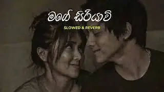 Siriyavi - Centigradz ( Slowed & Reverb )#trending #sinhalacoversong #slowedandreverb