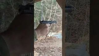 Savage 1907 in .32 ACP