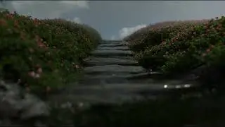 4K Rain Sounds on Stone Stairs at 5am - 10 minutes meditation