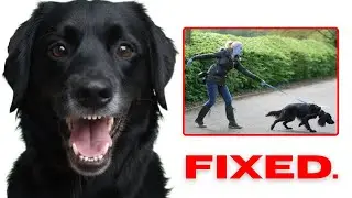 NEVER Get Ignored Again: 100% Reliable Recall
