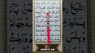 How to recite quran with tajweed rules || #islamic #qurantilawat #recitationofquran #ytshorts #reels
