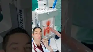 This machine can replace your lungs!