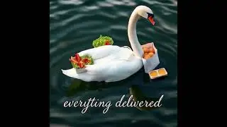 Elegance Express