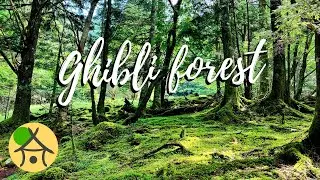 Scenic Japanese Ghibli Forest | Relaxing Nature Therapy - Camping by the River | mikasa Nature