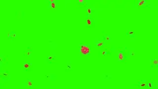 Green Screen Flowers  Falling Video  Video ||   Green Mat  Video || #svdigitals