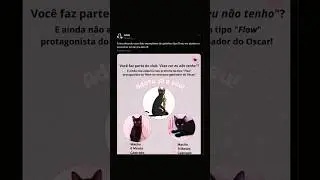 Black cats are being taken away en masse