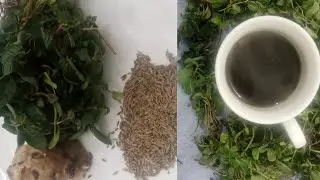 Best Ginger & Mint Herbal Tea for all Stomach problem|| Best drink for digestion by Fork and knife 