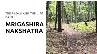 Mrigashira Nakshatra: The Padas and the Life Path