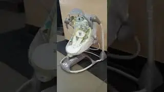 Ingenuity swing ( batteries )