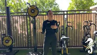 Fitness Friday