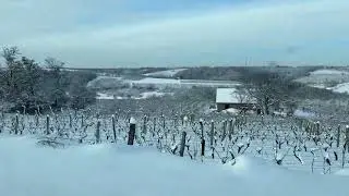 #8 Wine Cold Stabilisation / Hladna Stabilizacija Vina