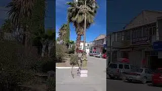 Por la Miguel Hidalgo en Villa Unión Poanas Durango 