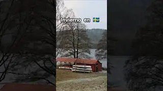 Invierno en Suecia #nature #halmstad #viralvideo #travel #invierno2026