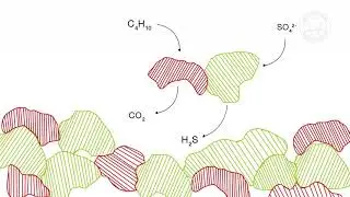 Lighting a lighter without oxygen &ndash; How deep-sea microbes live on natural gas