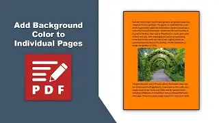 How to add background color to individual pages in a pdf document in PDF-XChange Editor