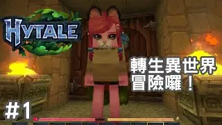 外觀很可愛！｜Hytale｜@kbmie 1/27