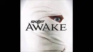Skillet - Hero (Drop D)
