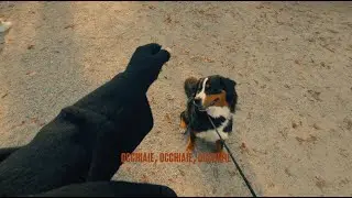 Carl Brave - OCCHIAIE (Official Video)