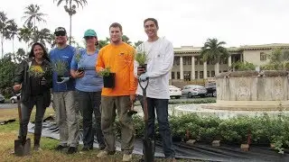 Native Hawaiian plants nurtured for education and industry