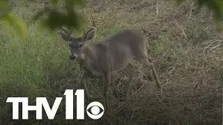 Successful start to hunting season & Hunter's Ed | Outdoor Report