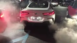 2019 BMW M850i INSANE REVS AND BACKFIRES