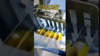 Pillow Bags Secondary Packaging Solution_Collator + Auto Bagger #packagingequipment
